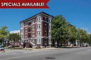 Apartments for rent on Elmwood Avenue in Buffalo, New York.