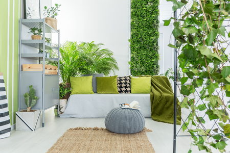 Make Your Apartment More Energy Efficient