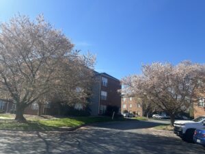 Apartments on Friendway Road in Greensboro.